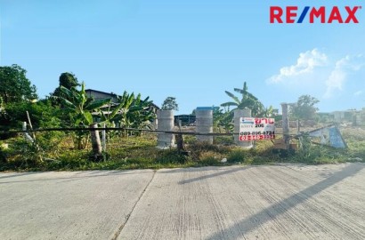 067887