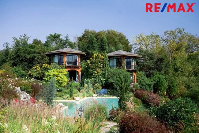 มาแล้ว! [New Listing!] A Riverside Eden Retreat ที่ [ The Elephant Treehouse : บ้านต้นไม้ กาญจนบุรี ]